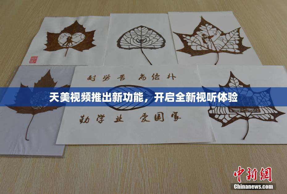 天美视频推出新功能，开启全新视听体验