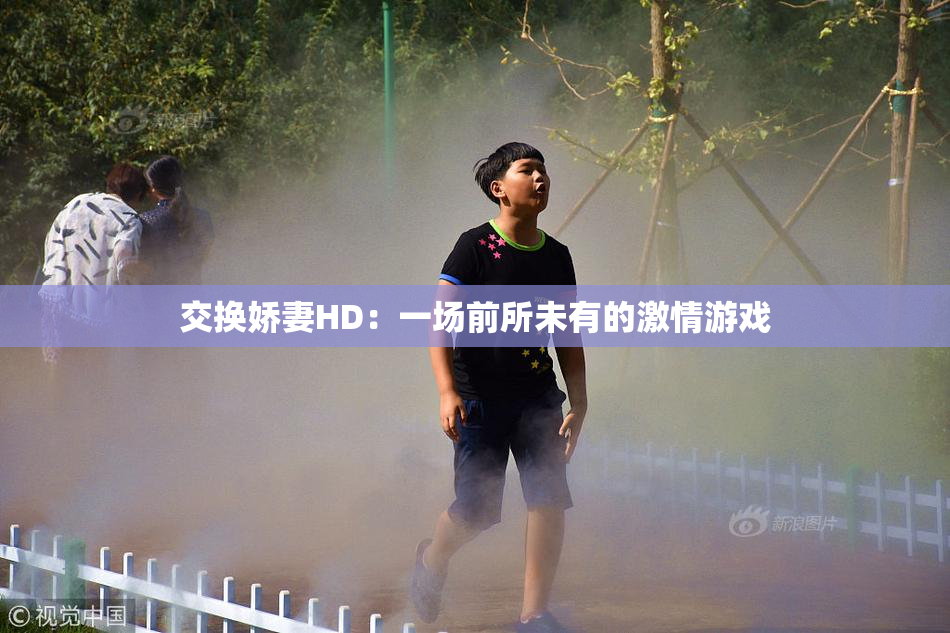 交换娇妻HD：一场前所未有的激情游戏