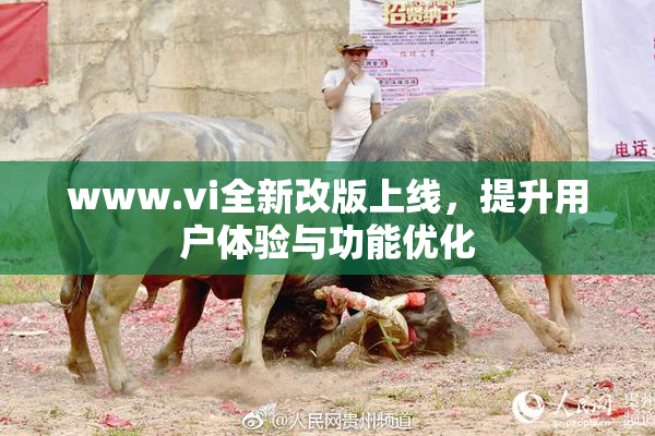 www.vi全新改版上线，提升用户体验与功能优化