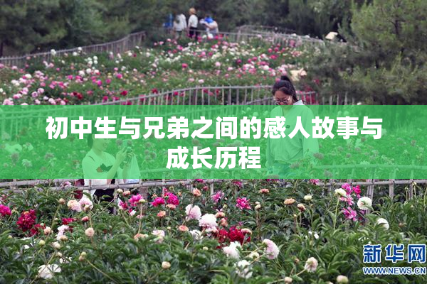 初中生与兄弟之间的感人故事与成长历程