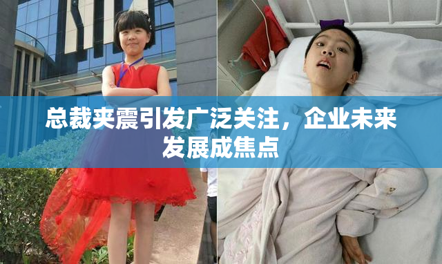 总裁夹震引发广泛关注，企业未来发展成焦点