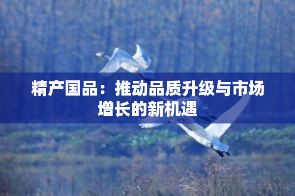 精产国品：推动品质升级与市场增长的新机遇