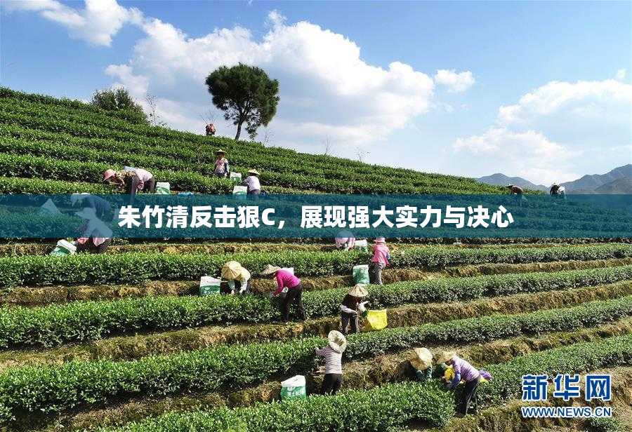朱竹清反击狠C，展现强大实力与决心