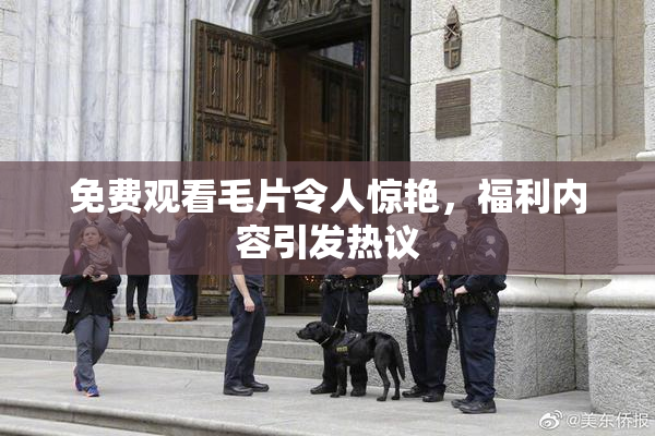 免费观看毛片令人惊艳，福利内容引发热议
