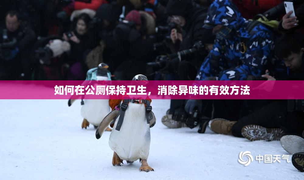 如何在公厕保持卫生，消除异味的有效方法