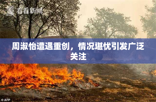 周淑怡遭遇重创，情况堪忧引发广泛关注