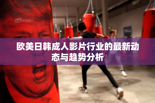 欧美日韩成人影片行业的最新动态与趋势分析