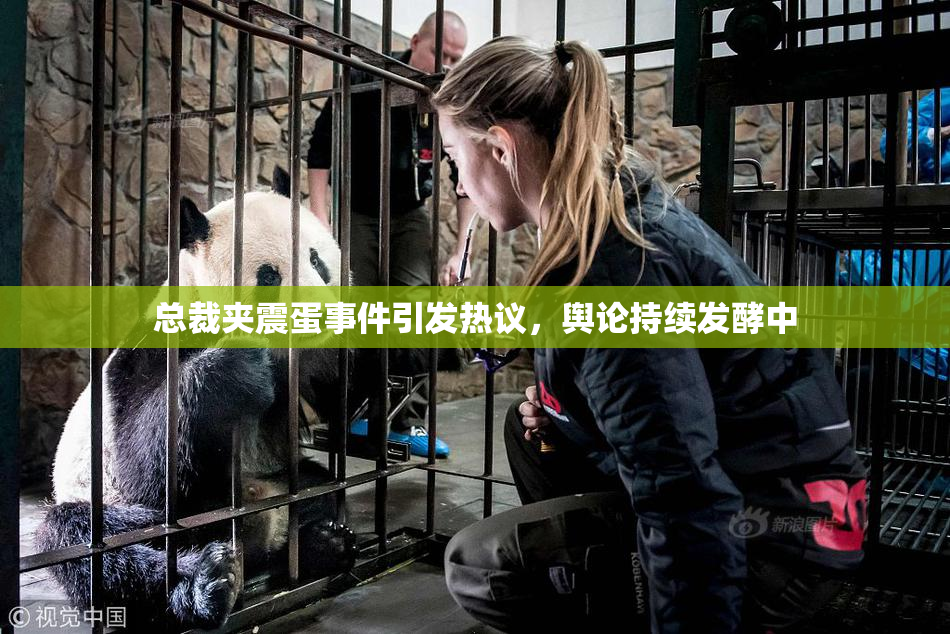 总裁夹震蛋事件引发热议，舆论持续发酵中