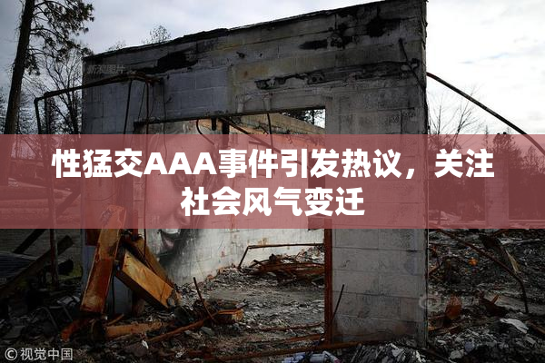 性猛交AAA事件引发热议，关注社会风气变迁