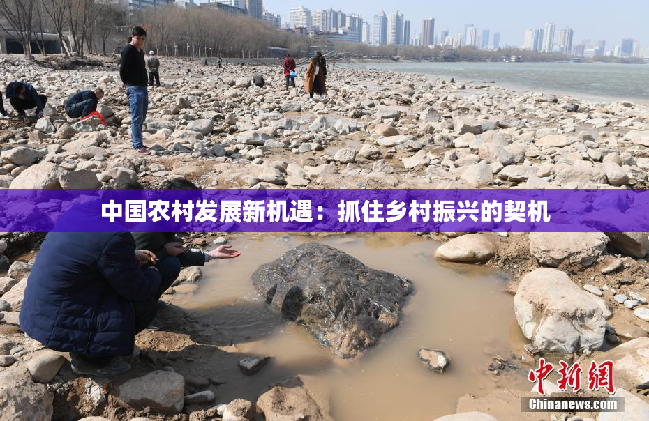 中国农村发展新机遇：抓住乡村振兴的契机
