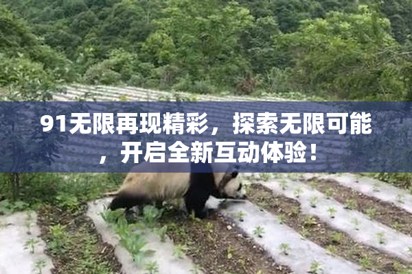 91无限再现精彩，探索无限可能，开启全新互动体验！