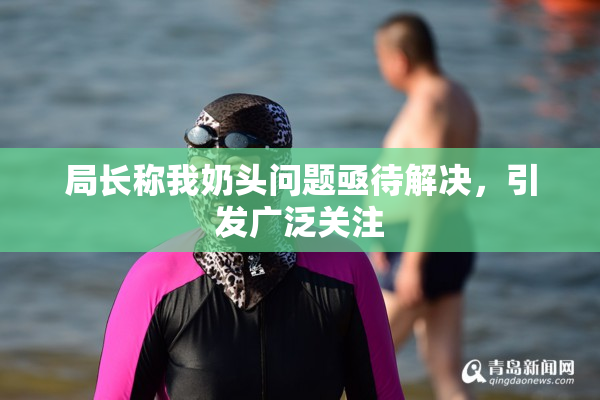 局长称我奶头问题亟待解决，引发广泛关注