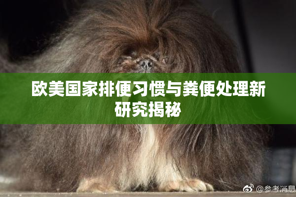 欧美国家排便习惯与粪便处理新研究揭秘