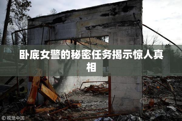 卧底女警的秘密任务揭示惊人真相