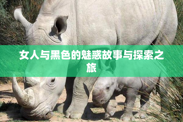 女人与黑色的魅惑故事与探索之旅