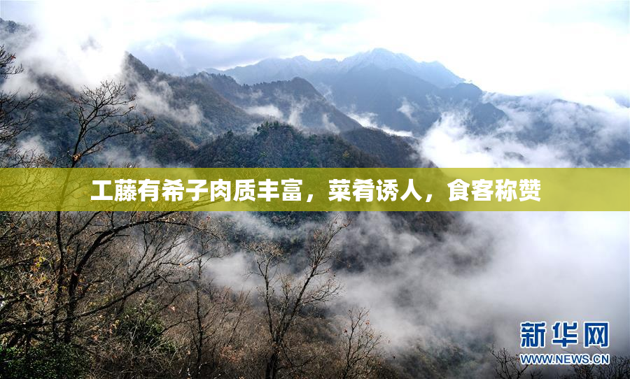 工藤有希子肉质丰富，菜肴诱人，食客称赞