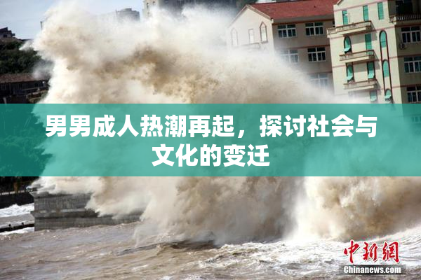 男男成人热潮再起，探讨社会与文化的变迁