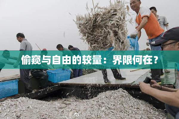 偷窥与自由的较量：界限何在？
