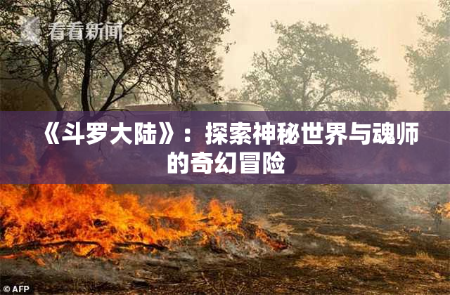 《斗罗大陆》：探索神秘世界与魂师的奇幻冒险
