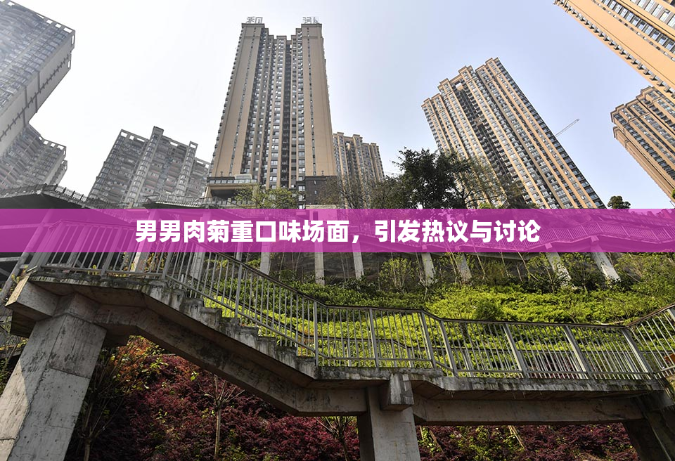 男男肉菊重口味场面，引发热议与讨论