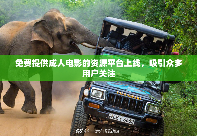 免费提供成人电影的资源平台上线，吸引众多用户关注