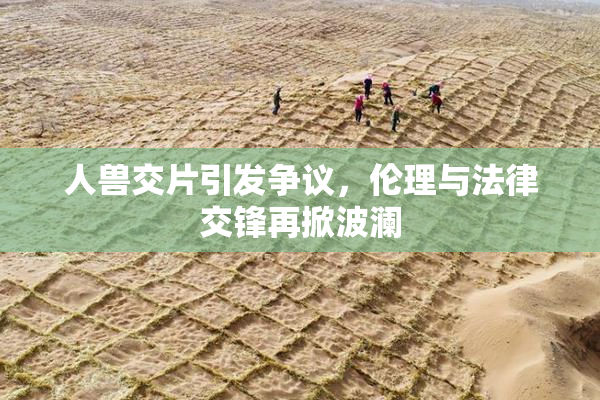 人兽交片引发争议，伦理与法律交锋再掀波澜