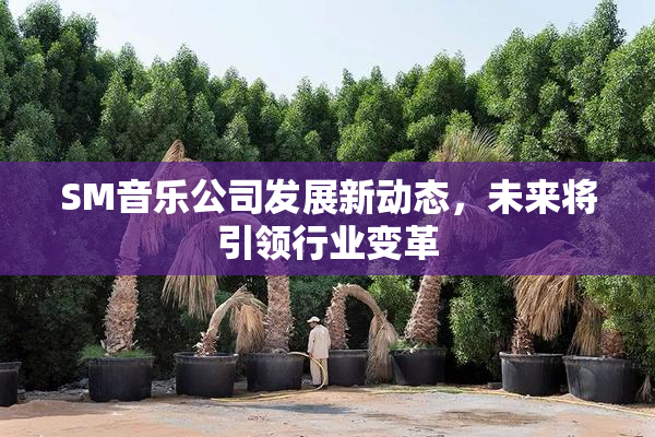 SM音乐公司发展新动态，未来将引领行业变革