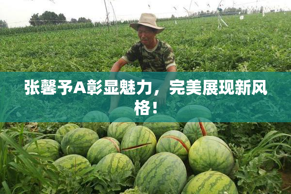 张馨予A彰显魅力，完美展现新风格！