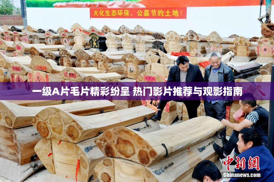 一级A片毛片精彩纷呈 热门影片推荐与观影指南