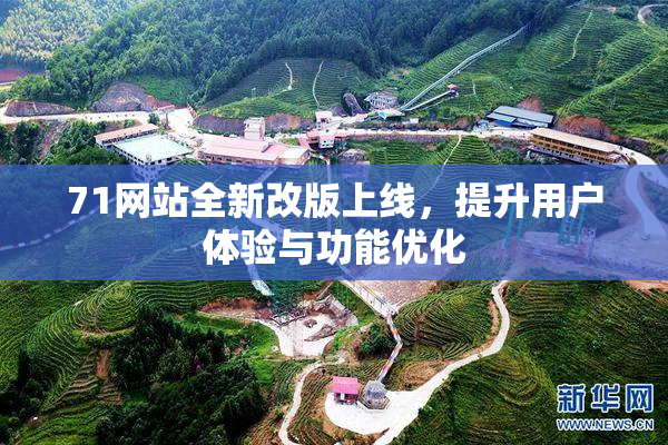 71网站全新改版上线，提升用户体验与功能优化