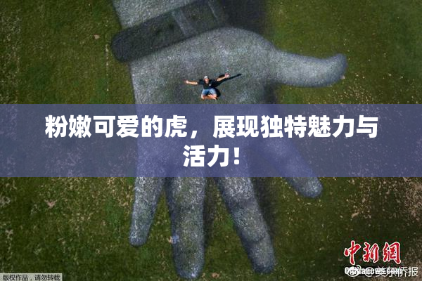 粉嫩可爱的虎，展现独特魅力与活力！