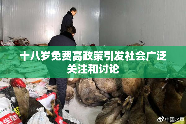 十八岁免费高政策引发社会广泛关注和讨论