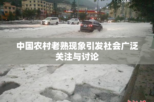 中国农村老熟现象引发社会广泛关注与讨论