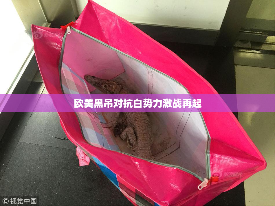 欧美黑吊对抗白势力激战再起