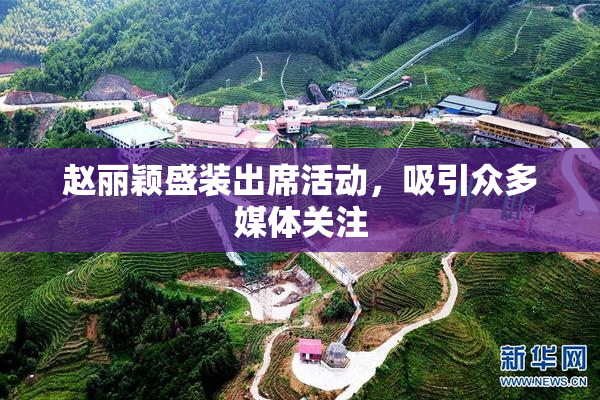 赵丽颖盛装出席活动，吸引众多媒体关注