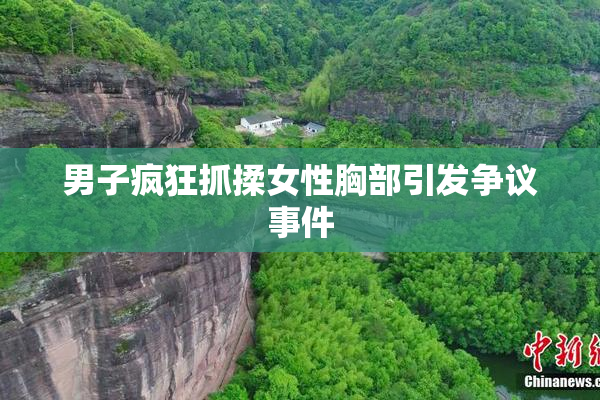 男子疯狂抓揉女性胸部引发争议事件