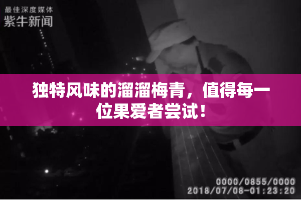 独特风味的溜溜梅青，值得每一位果爱者尝试！