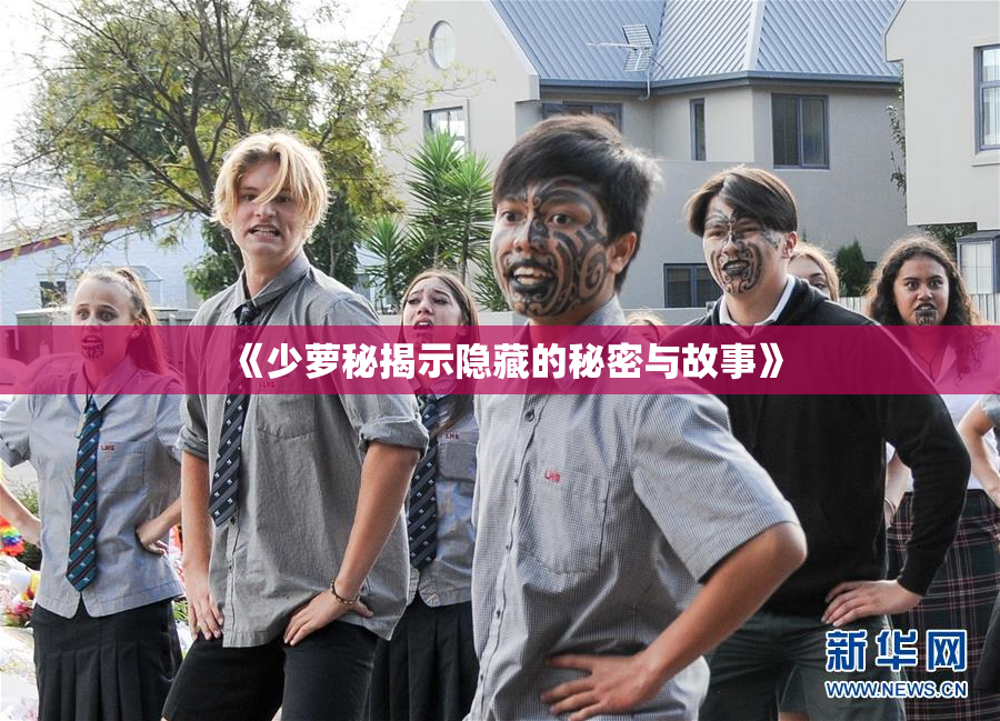 《少萝秘揭示隐藏的秘密与故事》