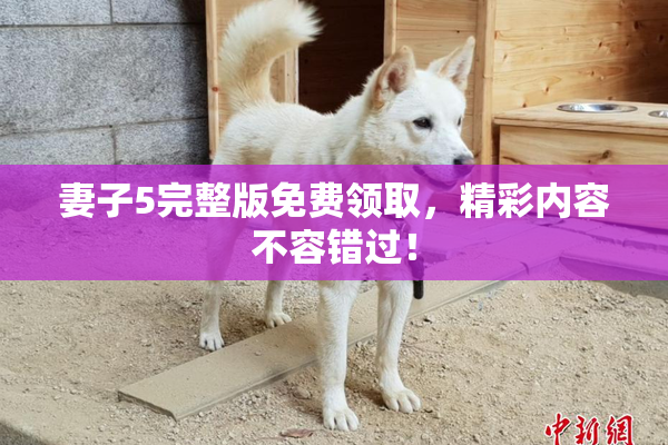妻子5完整版免费领取，精彩内容不容错过！