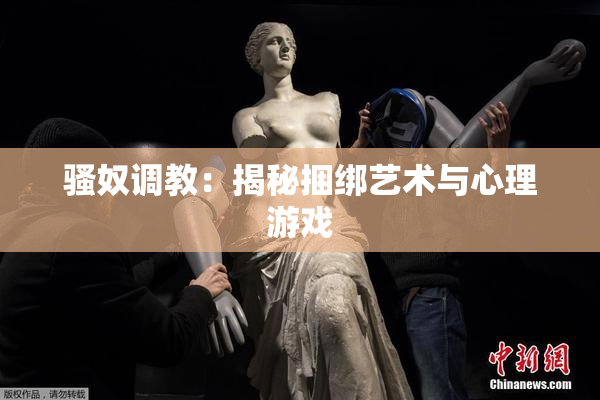 骚奴调教：揭秘捆绑艺术与心理游戏