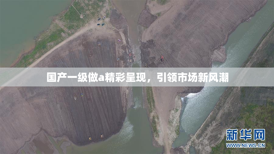国产一级做a精彩呈现，引领市场新风潮