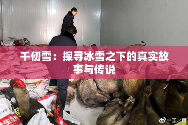 千仞雪：探寻冰雪之下的真实故事与传说