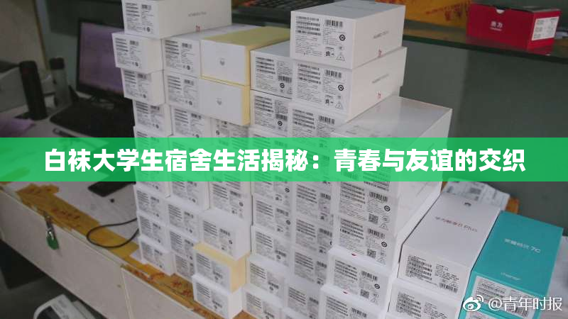 白袜大学生宿舍生活揭秘：青春与友谊的交织