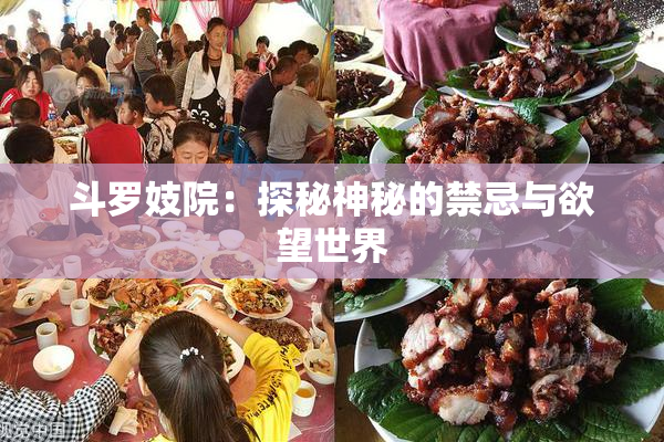 斗罗妓院：探秘神秘的禁忌与欲望世界