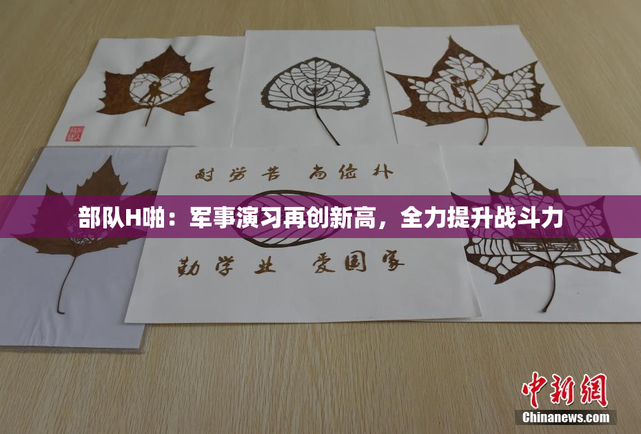 部队H啪：军事演习再创新高，全力提升战斗力