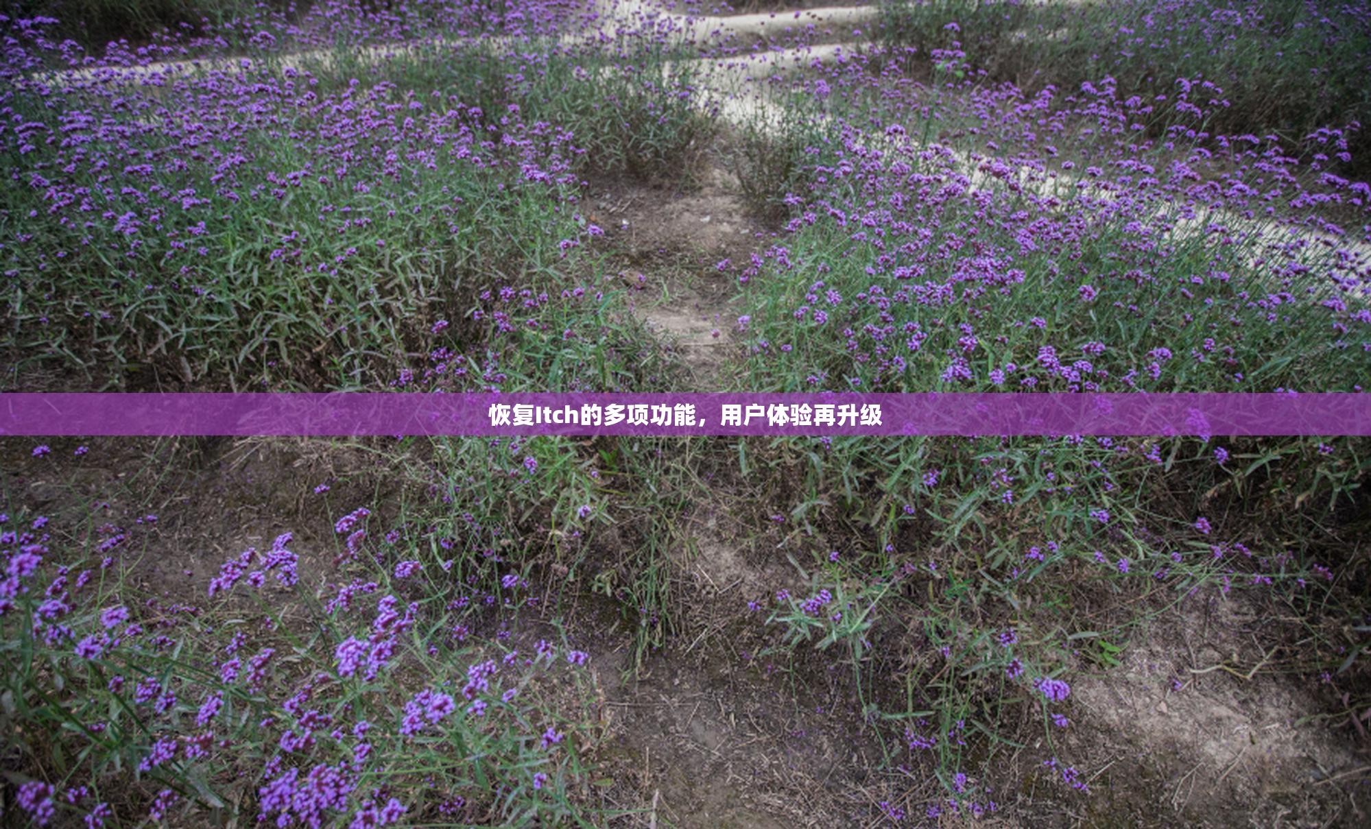 恢复Itch的多项功能，用户体验再升级