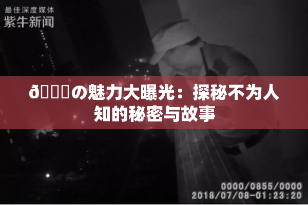 🍆の魅力大曝光：探秘不为人知的秘密与故事