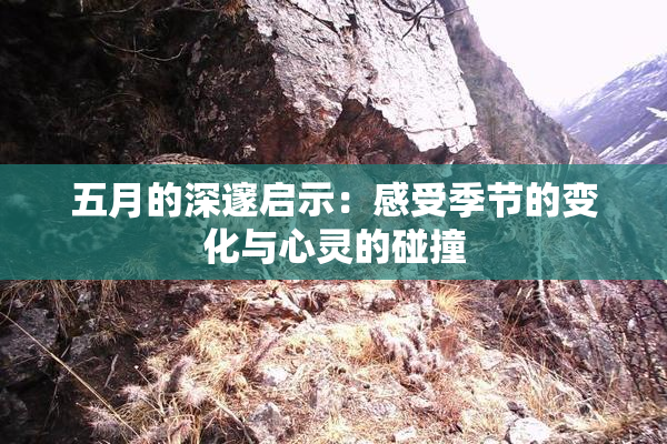 五月的深邃启示：感受季节的变化与心灵的碰撞