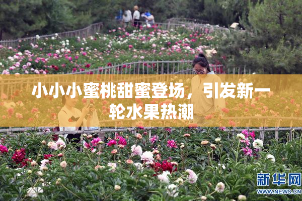 小小小蜜桃甜蜜登场，引发新一轮水果热潮