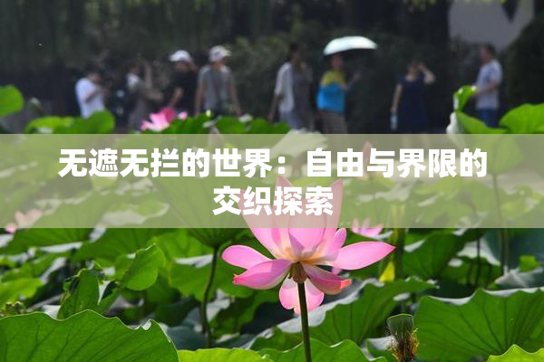 无遮无拦的世界：自由与界限的交织探索